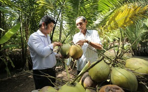 Chuyến tàu đầu tiên đưa 67,5 tấn dừa tươi xuất sang Trung Quốc qua ga liên vận quốc tế Sóng Thần- Ảnh 8.