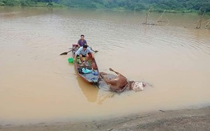 TIN NÓNG 24H QUA: Phát hiện thi thể tại 1 trạm bơm; tin mới vụ cô gái khỏa thân chụp ảnh trên đường - Ảnh 15.