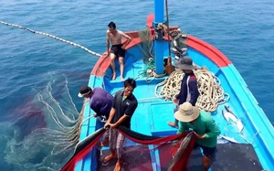 Vùng 4 Hải quân cứu 5 ngư dân trên tàu cá Phú Yên bị nghiêng 60 độ- Ảnh 3.