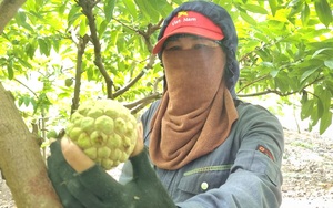 Ninh Bình: Điểm sáng trong phong trào nông dân thi đua sản xuất, kinh doanh giỏi - Ảnh 13.