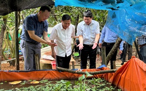 Hòa Bình: Bổ sung tiểu dự án đường giao thông khoảng 6.800 tỷ đồng vào kế hoạch đầu tư công trung hạn giai đoạn 2021-2025 - Ảnh 5.