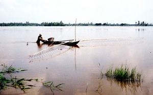 Mùa nước nổi miền Tây, dân mong cảnh trên cơm dưới cá, ngành chức năng cảnh báo điều gì? - Ảnh 3.