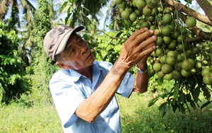 Phó Chủ tịch tỉnh Lâm Hải Giang: "Đưa hình ảnh quê hương, con người, văn hóa Bình Định lên phim"- Ảnh 3.