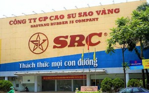 Dragon Capital tiếp tục bán ra hơn 3 triệu cổ phiếu của Tập đoàn Hoa Sen - Ảnh 5.