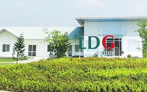 Đầu tư LDG "bốc hơi" thêm 100 tỷ đồng lợi nhuận sau kiểm toán - Ảnh 3.