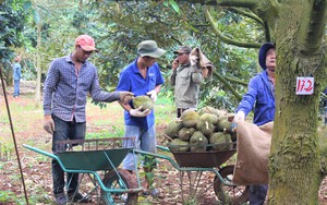 Công an vào cuộc vụ bệnh nhân tử vong khi thay van tim- Ảnh 3.