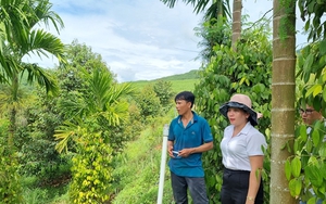 Sầu riêng sắm vai "ngôi sao", xuất khẩu rau quả Việt Nam sẽ thiết lập kỷ lục mới - Ảnh 5.