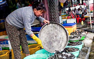 Trồng rừng gỗ trắc quý có tên trong sách Đỏ, cả làng ở Gia Lai ngày đêm trông giữ, cấm người lạ - Ảnh 4.