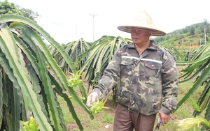 Chủ tịch Hội Nông Dân Việt Nam Lương Quốc Đoàn kiểm tra công tác Thi đua-Khen thưởng tại Hòa Bình - Ảnh 9.