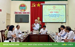 Radio online Nhịp sống nông thôn mới ngày 6.9.2024 Radio nông dân Radio truyện Radio trực tuyến - Ảnh 2.