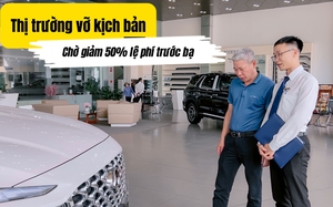 Nóng: Chính thức giảm 50% lệ phí trước bạ ô tô sản xuất trong nước đến hết tháng 11/2024 - Ảnh 3.