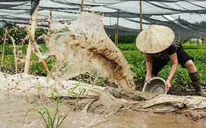 Mưa lớn ở Cao Bằng tiếp tục, hơn 300 ngôi nhà ngập nặng- Ảnh 9.