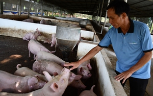 Trường Trung cấp Nông dân Việt Nam hoàn tất đánh giá nghiệm thu các chương trình đào tạo nghề ngắn hạn năm 2024 - Ảnh 4.