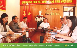 Radio online Nhịp sống nông thôn mới ngày 13.9.2024 Radio nông dân Radio truyện Radio trực tuyến - Ảnh 2.