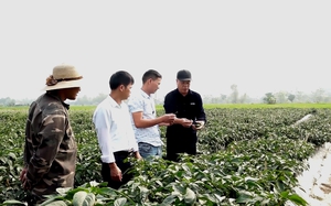 100 thí sinh tham dự Hội thi Chủ tịch Hội Nông dân - Tuyên truyền viên giỏi tỉnh Hậu Giang - Ảnh 3.