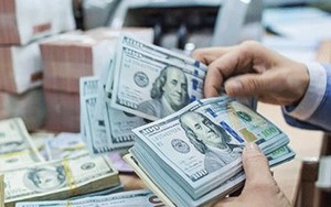 Giá USD hôm nay 29/8: Tỷ giá "chợ đen" lao dốc, ngân hàng phục hồi- Ảnh 7.