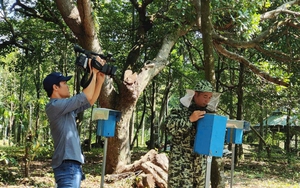 Một đàn chim hoang dã chao liệng đẹp như phim ở hồ Kẻ Gỗ Hà Tĩnh, đó là thứ chim gì vậy? - Ảnh 7.