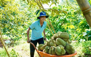 Gỡ vướng quy hoạch khoáng sản ở Tây Nguyên: (Bài 1) Có đất nhưng không được làm nhà, tránh dự án lại vướng quy hoạch- Ảnh 9.