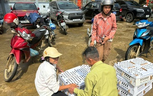 Lào Cai: Chủ động triển khai, ứng phó với cơn bão số 3 - Ảnh 3.