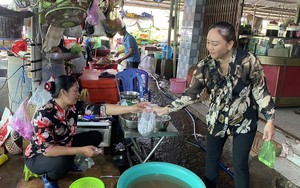 Một nông dân trên đảo Cồn Cỏ nuôi con cua đá mà ưa sạch sẽ, chuyên ăn rau xanh, chuối và cám - Ảnh 6.