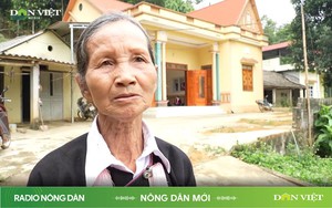 Radio online Nông dân Ấn độ trồng thanh long không cần đất, nhổ cỏ bằng năng lượng mặt trời - Ảnh 2.