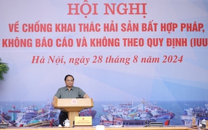 Nam Định mạnh tay xử phạt 108 vụ vi phạm trong khai thác thủy sản, quyết chung tay gỡ "thẻ vàng IUU" - Ảnh 5.