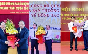 Chân dung Trợ lý nguyên Trưởng Ban Tổ chức Trung ương được bổ nhiệm làm Trợ lý Phó Chủ tịch Quốc hội - Ảnh 4.