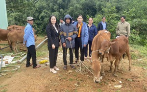 Liều nuôi lung tung, một người Quảng Nam có doanh thu 10 tỷ/năm, là Nông dân Việt Nam xuất sắc- Ảnh 18.