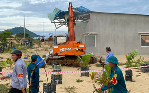 Mê mẩn tuyến đường 7km trị giá gần 800 tỷ đồng đi xuyên rặng dừa, vừa khánh thành tại Bình Định- Ảnh 11.