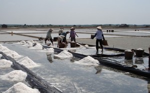 Sinh viên ĐH Văn Lang mặc đồ quân sự đi đứng thiếu chuẩn mực, nhà trường nhận trách nhiệm - Ảnh 4.