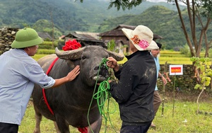 Đặc sắc Lễ hội đường phố trong ngày Tết Độc lập  - Ảnh 7.