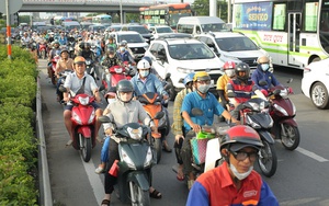 Một nơi “chữa lành” cách TP.HCM hơn 100km, là khu dự trữ sinh quyển thứ 2 của Việt Nam - Ảnh 7.