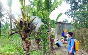 Một đàn chim hoang dã chao liệng đẹp như phim ở hồ Kẻ Gỗ Hà Tĩnh, đó là thứ chim gì vậy? - Ảnh 5.