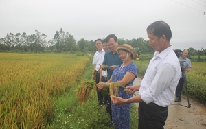 Thanh Hoá: Nông dân Nông Cống nấu 1.000 bánh chưng gửi tâm lũ phía Bắc- Ảnh 10.