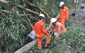 Cà Mau: Hơn 100 hộ dân sống ở thành phố nhưng phải dùng điện “chia hơi”- Ảnh 3.