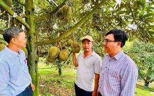 Chăn nuôi, Một ngành hàng xuất khẩu hàng tỷ USD, Việt Nam đang đàm phát với bao nhiêu quốc gia? - Ảnh 7.