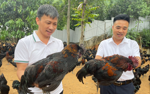 Lào Cai: Trao đổi, học tập kinh nghiệm phát triển nông nghiệp ứng dụng công nghệ cao tại Vĩnh phúc và Hải Dương - Ảnh 8.