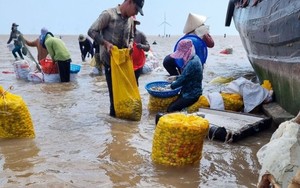 Chi phí sản xuất, tín dụng, thuế ảnh hưởng đến quá trình tái cơ cấu ngành nông nghiệp - Ảnh 5.