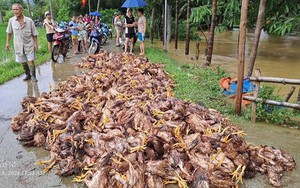 TIN NÓNG: Trung tâm Khí tượng: Miền Bắc mưa lớn kéo dài đến bao giờ? - Ảnh 6.