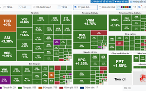 Sắc xanh bao phủ toàn thị trường, VN-Index bật tăng hơn 22 điểm