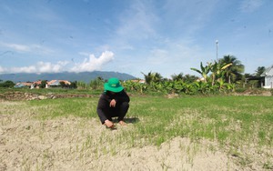 Dưới lá cờ Tổ quốc, ngư dân Khánh Hòa tự hào, tự tin đánh bắt hải sản ở Hoàng Sa, Trường Sa - Ảnh 12.