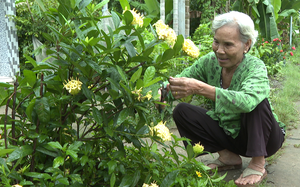 Bình Thuận: Đã có kết quả xét nghiệm hàng tấn cá lăng đuôi đỏ nuôi ở sông La Ngà bị chết - Ảnh 9.