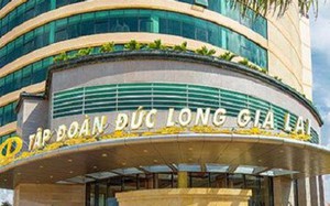 Chưa cập nhật kịp số liệu, Đức Long Gia Lai (DLG) xin hoãn nộp báo cáo tài chính bán niên 2024- Ảnh 2.