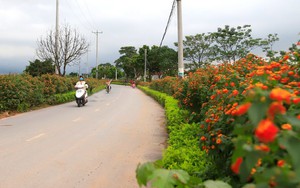 Phó Chủ tịch TƯ Hội Nông dân Việt Nam Đinh Khắc Đính làm việc với Hội Nông dân tỉnh Lâm Đồng - Ảnh 8.