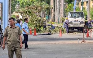 Công ty Công viên cây xanh TP.HCM thông tin về tai nạn ở công viên Tao Đàn khiến 2 người chết - Ảnh 4.