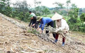 Thái Nguyên công bố tình huống khẩn cấp về sạt lở bờ sông Cầu do mưa lũ - Ảnh 8.