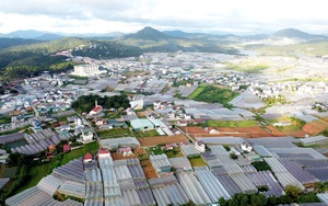 Ngăn chặn, kiểm soát chặt chẽ, không để người dân “bán chạy” bò sữa bị bệnh tại Lâm Đồng - Ảnh 7.