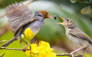 Tử vi ngày 2/9: 3 con giáp dĩ hòa vi quý, Thần Tài ban lộc, không thiếu tiền tiêu, đón ngày hạnh phúc - Ảnh 8.