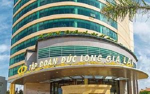 Cổ phiếu Novaland và Đức Long Gia Lai đều dính "án" cảnh báo giao dịch- Ảnh 3.