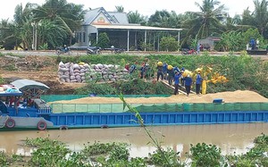 Nông dân vùng này của Cà Mau lội ruộng thảy loại cây sản sinh ra “hạt ngọc của trời” - Ảnh 10.